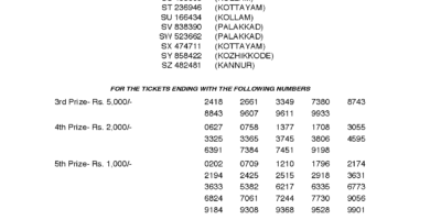 Sthree Sakthi SS102 Kerala Lottery Results Screenshot: Page 1