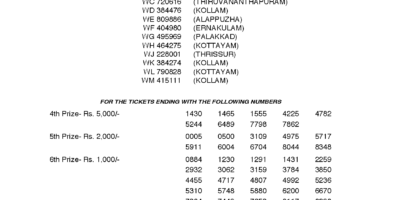 Winwin W462 Kerala Lottery Results Screenshot: Page 1