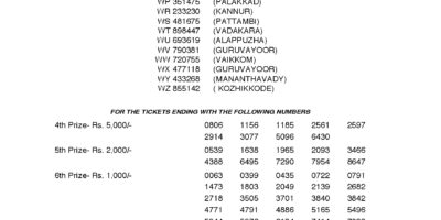 Winwin W459 Kerala Lottery Results Screenshot: Page 1