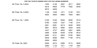 Karunya Plus KN219 Kerala Lottery Result Screenshot: Page 1