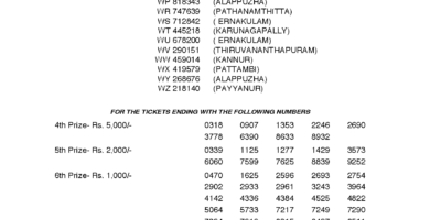 Winwin W463 Kerala Lottery Results Screenshot: Page 1
