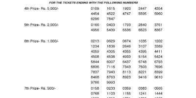 Karunya Plus KN220 Kerala Lottery Result Screenshot: Page 1